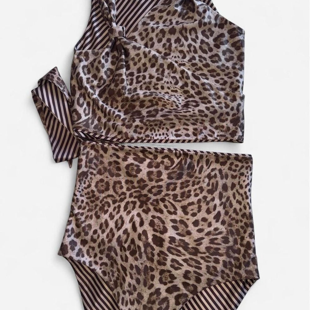 Baiia Samba Reversible‎ Leopard Stripe Bikini Set Size 8 Est - Picture 3 of 8